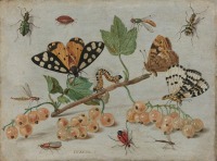 Картины - Ветка смородины с ягодами и насекомые