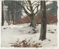 Картины - Виллем Витсен. Деревья в снегу