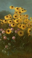 Картины - Бенджамин Чампни. Натюрморт с желтыми цветами и клевером