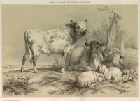 Картины - Коровы и овцы в пейзаже