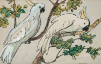 Картины - Два белых какаду