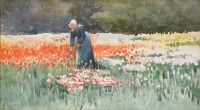 Картины - Голландские тюльпаны