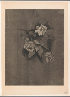 Картины - Букет роз