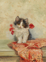 Картины - Мета Плюккебаум, Ангорский котёнок Лассти