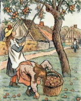 Картины - Картини.  Каміль  Піссарро (1830-1903).  Збирання яблук.