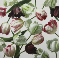 Картины - Игорь Левашов, Попугайные тюльпаны II