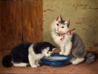 Картины - Софи Сперлих, Два котёнка и миска молока