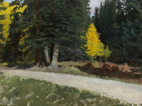 Картины - Рэйчел Персонет. Дорога в лесу. Монро-Роуд в Брекенбридже, Колорадо