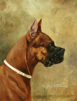 Картины - Вильгельм Вестероп. Портрет собаки. Боксёр