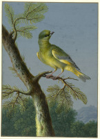 Картины - Барбара Регина Дитцш, Пейзаж с певчей птицей. Зеленушка