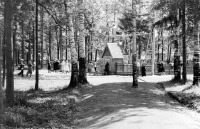 Вичуга - Примерно 1957 г, Вичуга, в городском Ногинском парке.