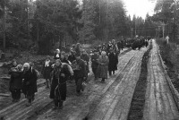 Калининградская область - Возвращение Советских граждан из немецкого плена (из города Кенигсберга) (10апреля, 1945)