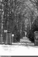 Калининградская область - Ripkeim. Zufahrt nach 1935 (KG Wehlau)