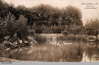 Калининград - Ашман Парк 1889 - 1907 гг.