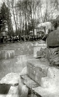 Калининград - Калининградский зоопарк. Белый медведь.