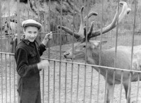 Калининград - 1956 год. Володя с благородным оленем