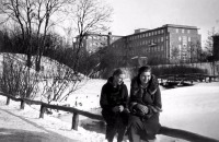 Калининград - Фото 1930-1944 г.г. между улицами Шубертштрассе (Чайковского) и Йенсенштрассе (Советский переулок).
