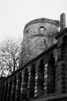 Калининград - Калининград. Южная башня Королевского замка.