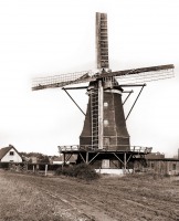 Зеленоградск - Кранц - Зеленоградск ветряная мельница 1930 год.