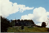 Боровск - Село Рябушки. Вид на церковь Димитрия Солунского от Протвы 1999,