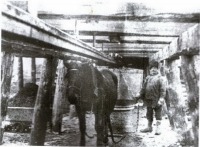 Гурьевск - На  металлургическом производстве  Гурьевского завода использовались лошади