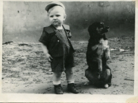 Кострома - Мальчик с собакой